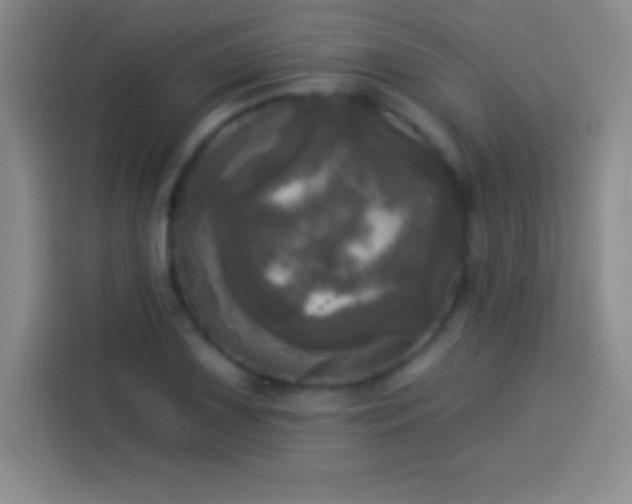 X0000113921075200910011507