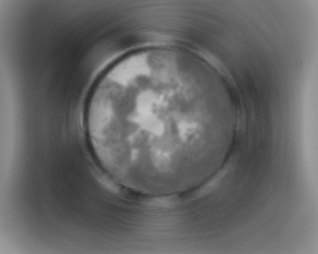 X0000113921078200910011507