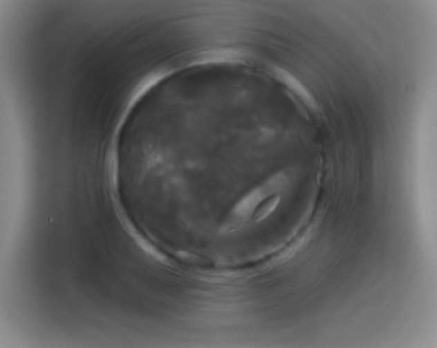 X0000113921079200910011507
