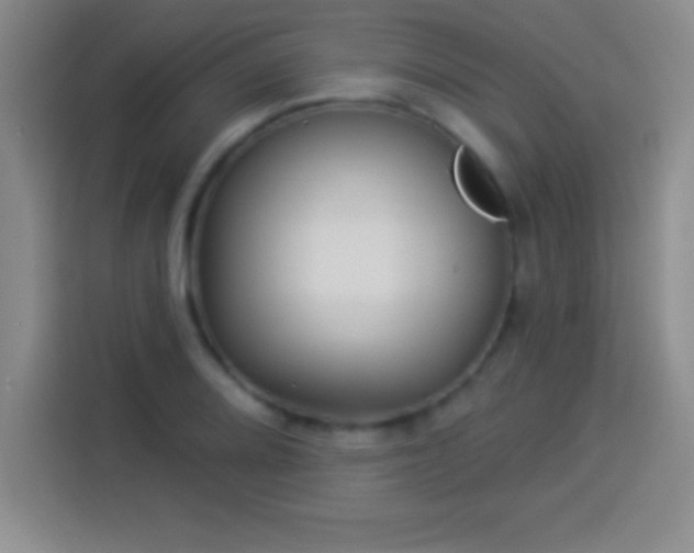 X0000113921080200910011507