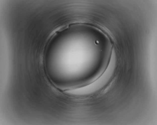 X0000113921081200910011507
