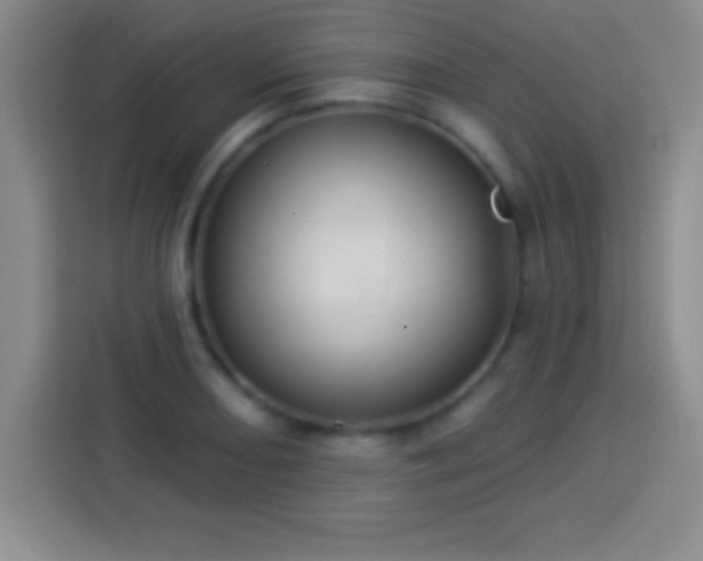 X0000113921082200910011507