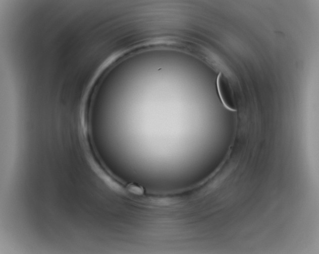 X0000113921084200910011507