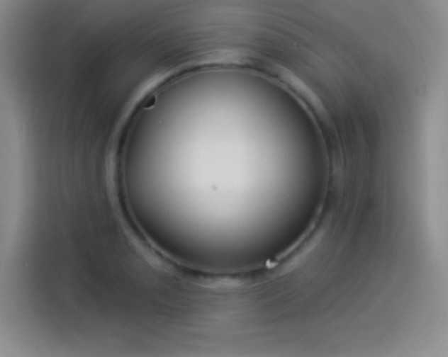 X0000113921085200910011507