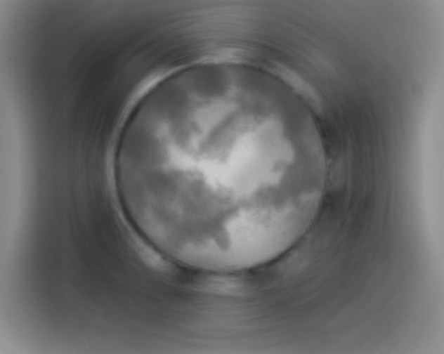 X0000113921086200910011507