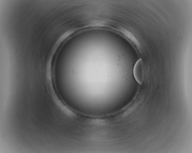 X0000113921088200910011507
