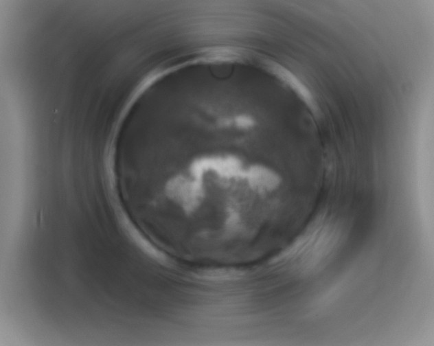 X0000113921091200910011507