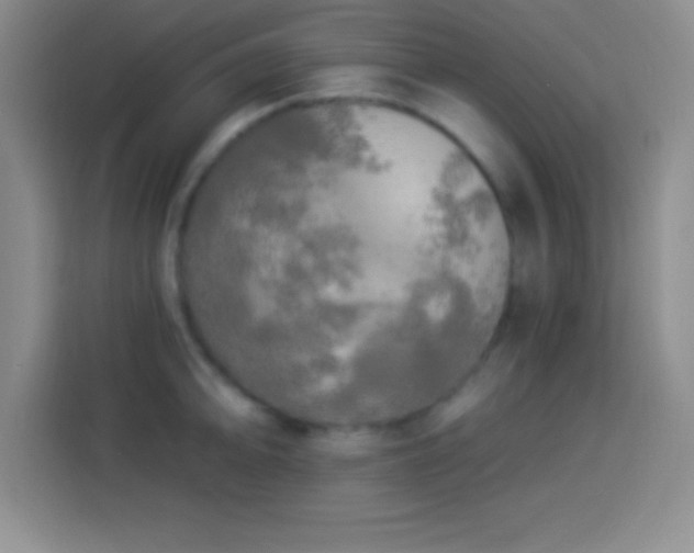 X0000113921094200910011507