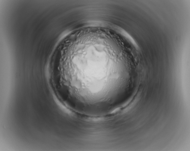 X0000113921095200910011507