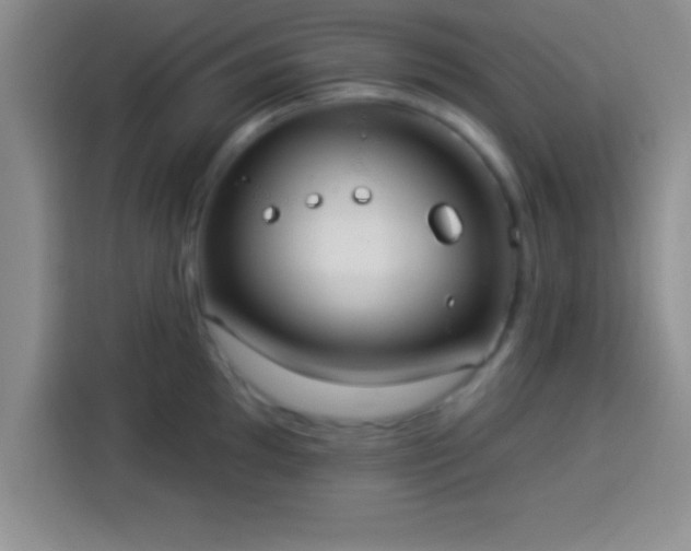 X0000113921097200910011507