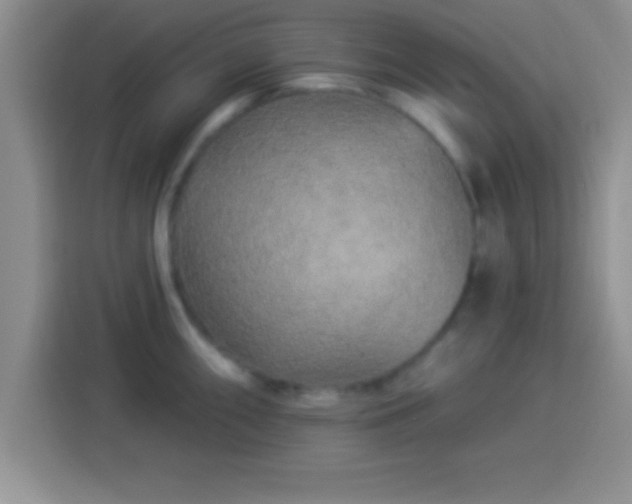 X0000113921098200910011507
