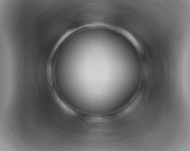 X0000113921100200910011507
