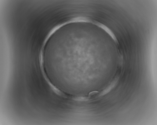 X0000113921101200910011507