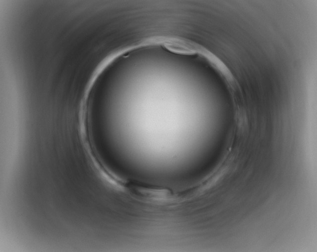 X0000113921102200910011507