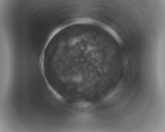 X0000113921103200910011507