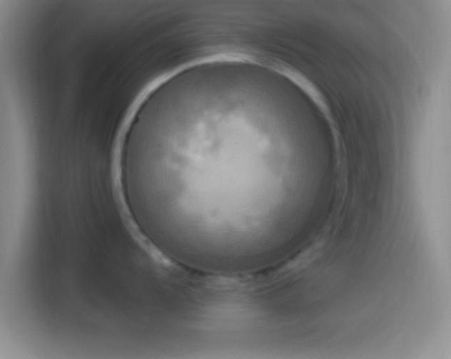 X0000113921104200910011507
