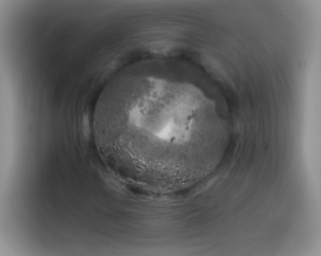 X0000113921106200910011506