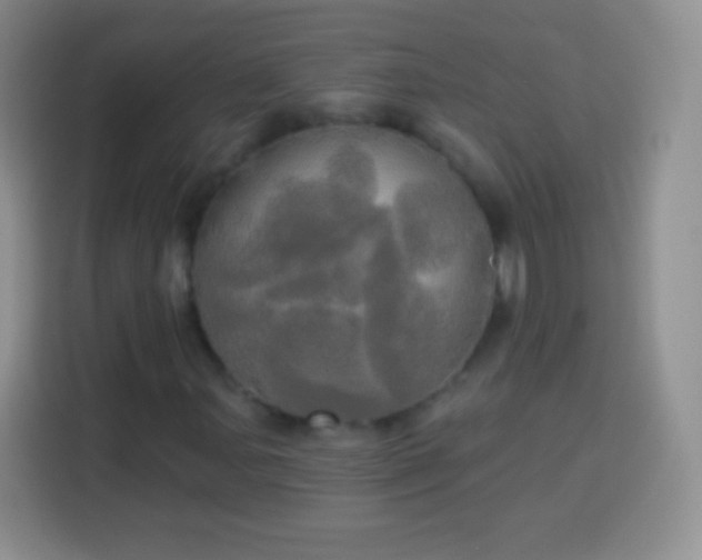 X0000113921107200910011506