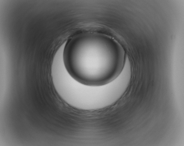 X0000113921108200910011506