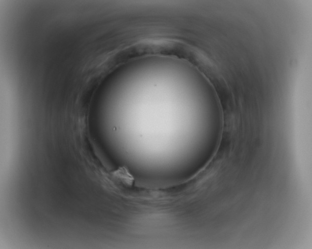 X0000113921109200910011506