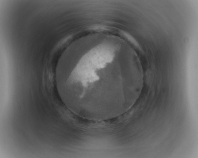 X0000113921111200910011506