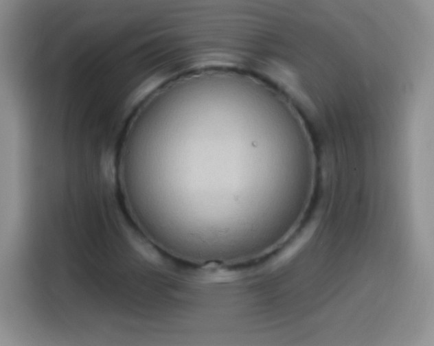 X0000113921113200910011506