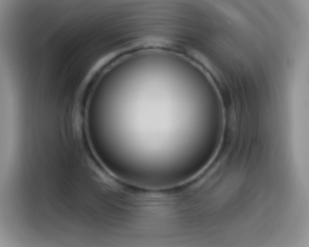 X0000113921115200910011506