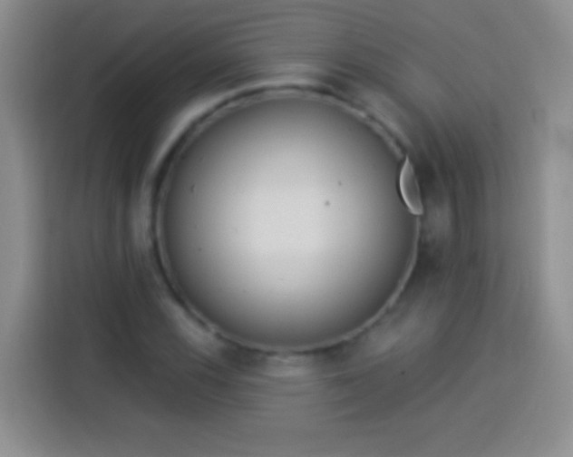 X0000113921116200910011506