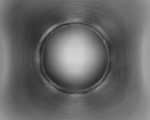 X0000113921118200910011506