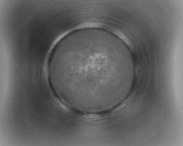 X0000113921119200910011506