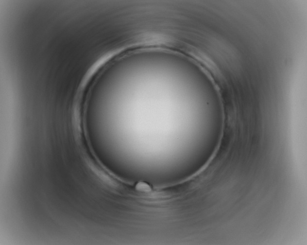 X0000113921120200910011506