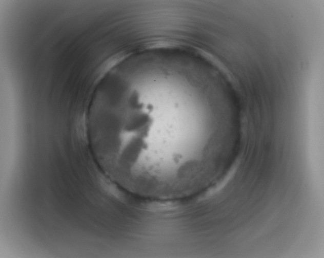 X0000113921121200910011506