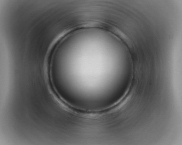 X0000113921122200910011506