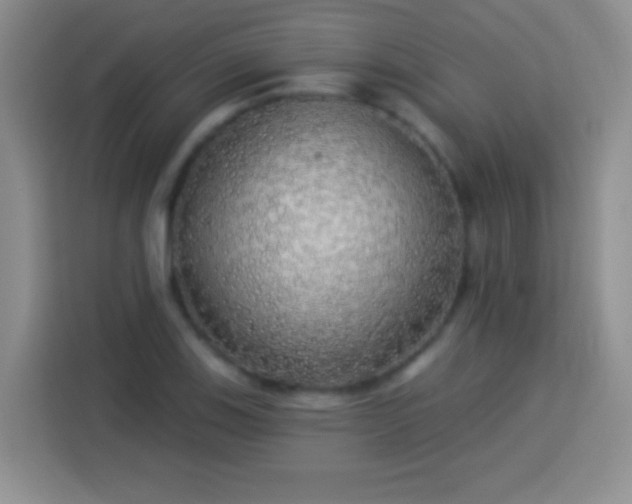 X0000113921123200910011506