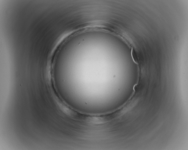 X0000113921124200910011506