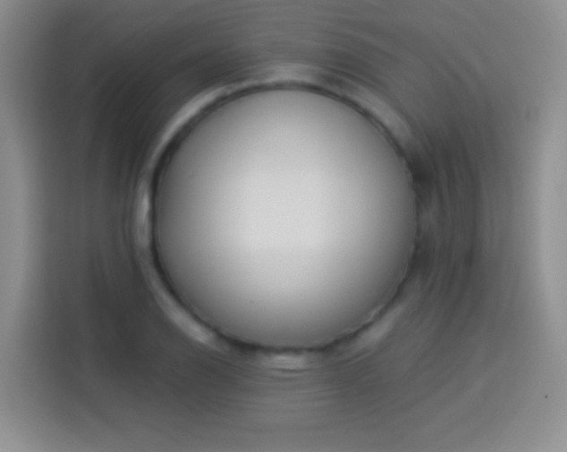 X0000113921126200910011506