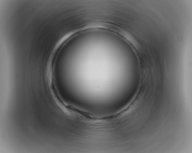 X0000113921127200910011507