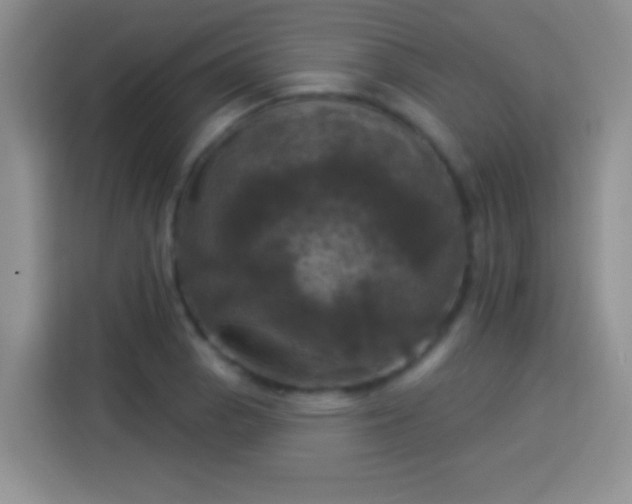 X0000113921129200910011507