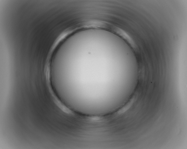X0000113921130200910011507