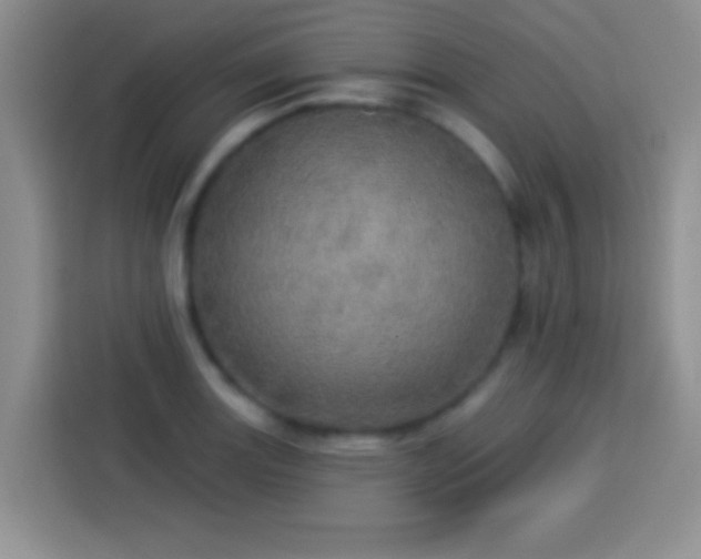 X0000113921131200910011507