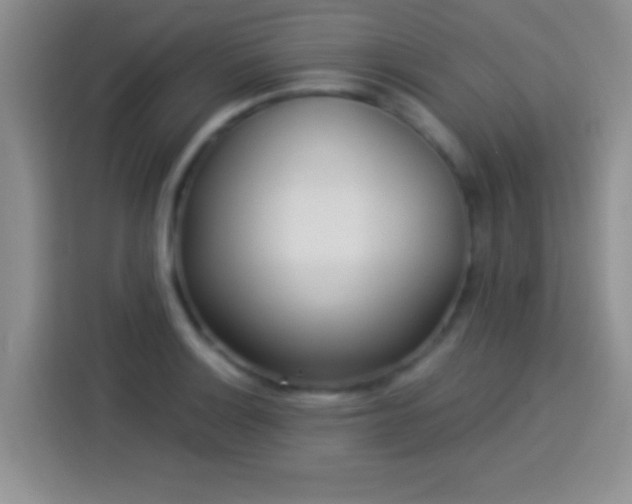 X0000113921132200910011507