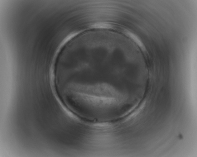 X0000113921133200910011507