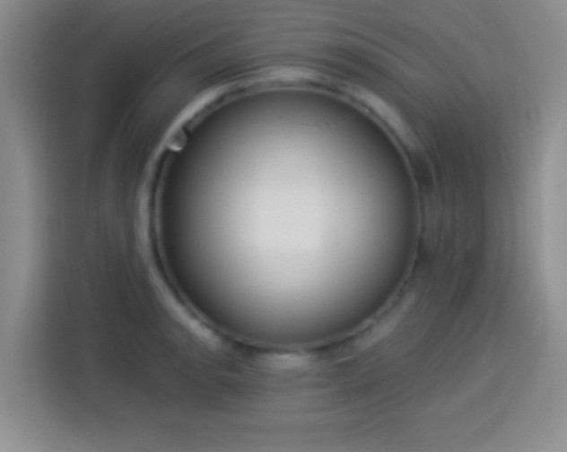 X0000113921134200910011507