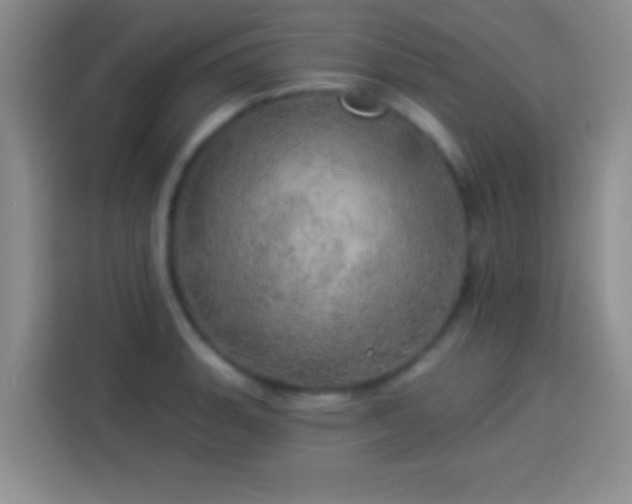 X0000113921135200910011507