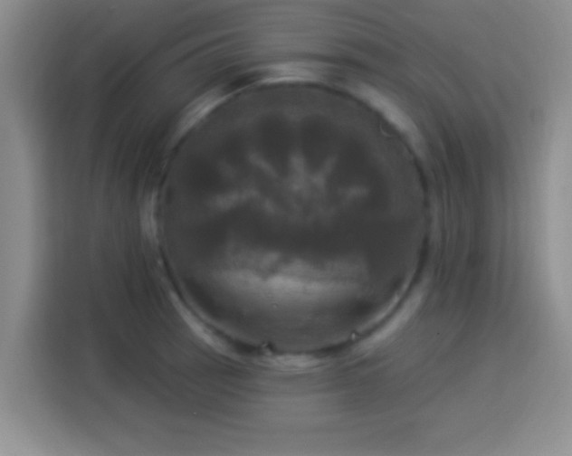 X0000113921137200910011507