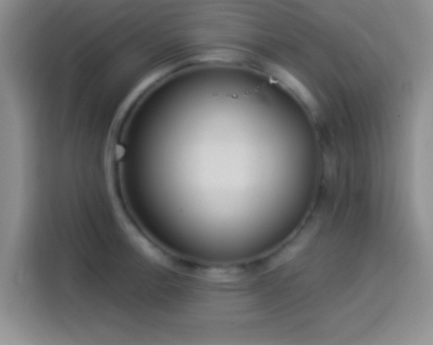 X0000113921138200910011507