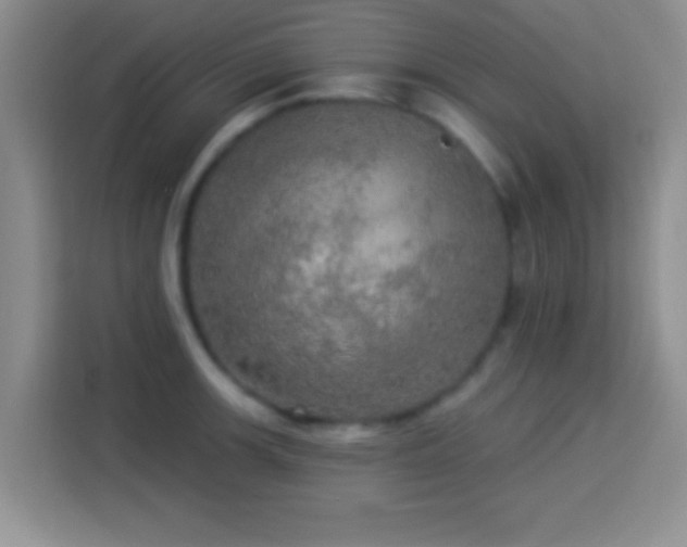 X0000113921139200910011507