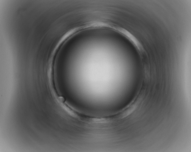 X0000113921142200910011507
