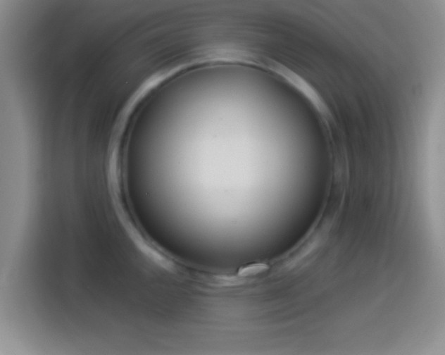 X0000113921144200910011507
