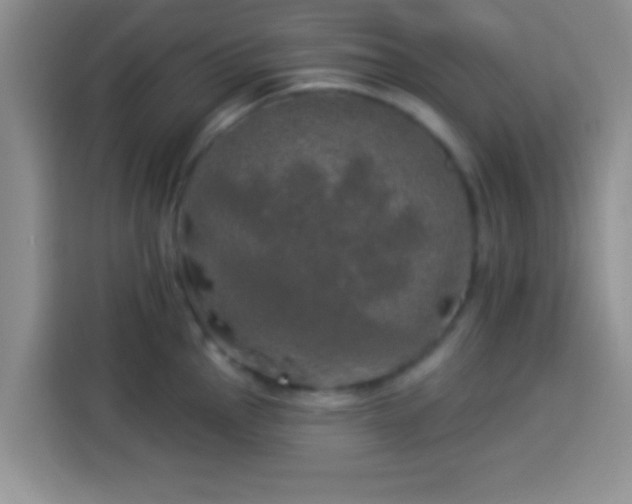 X0000113921145200910011507